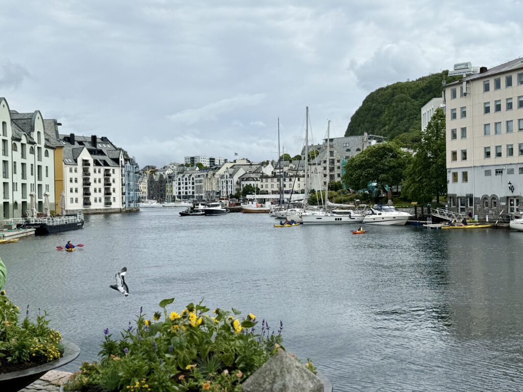 Waterviews in Alesund
