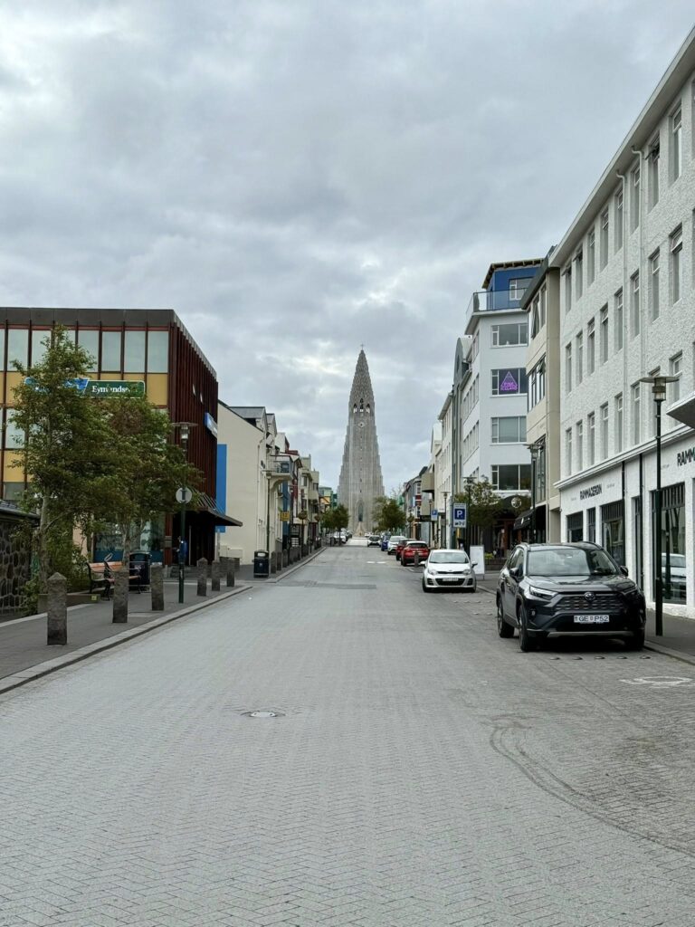 Iconic downtown Reykjavik and the even more iconic Icelandic hot dog