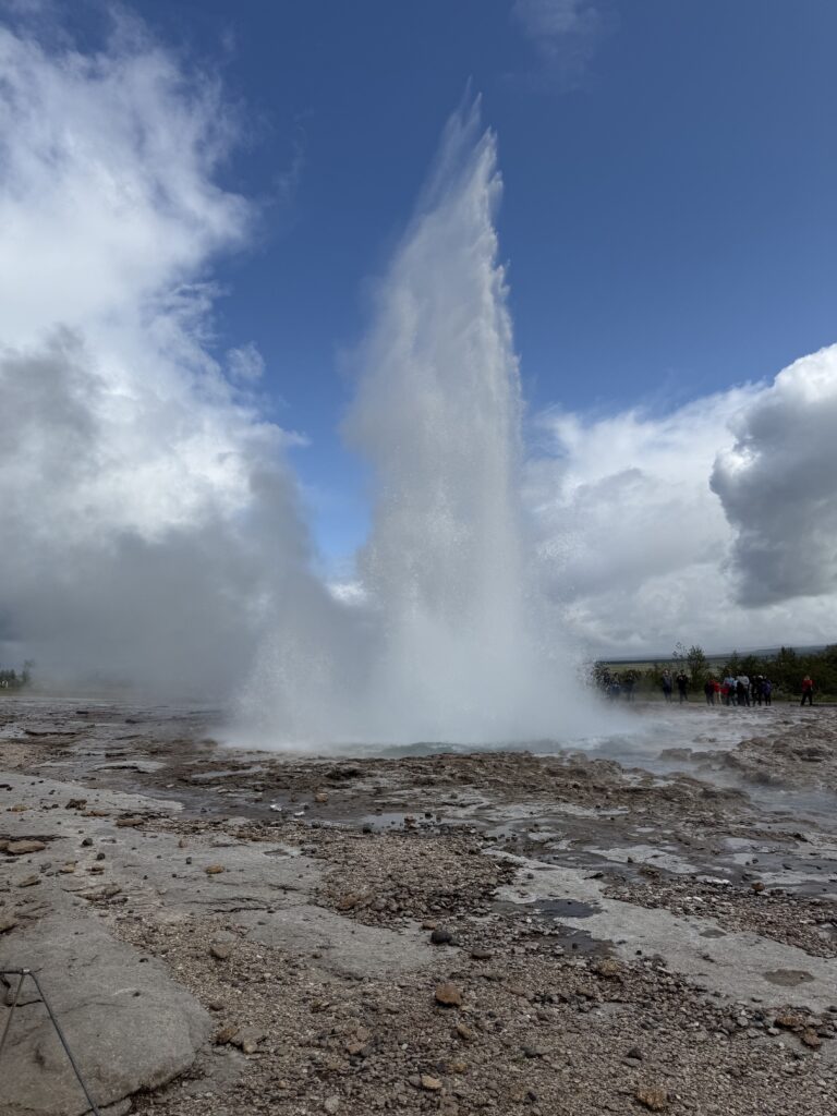 Icelandic beauty - waterfalls, geysers, black sand beaches, and lupin