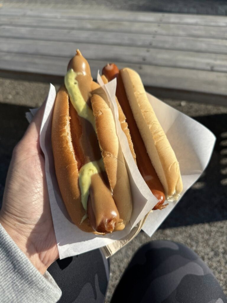Iconic downtown Reykjavik and the even more iconic Icelandic hot dog