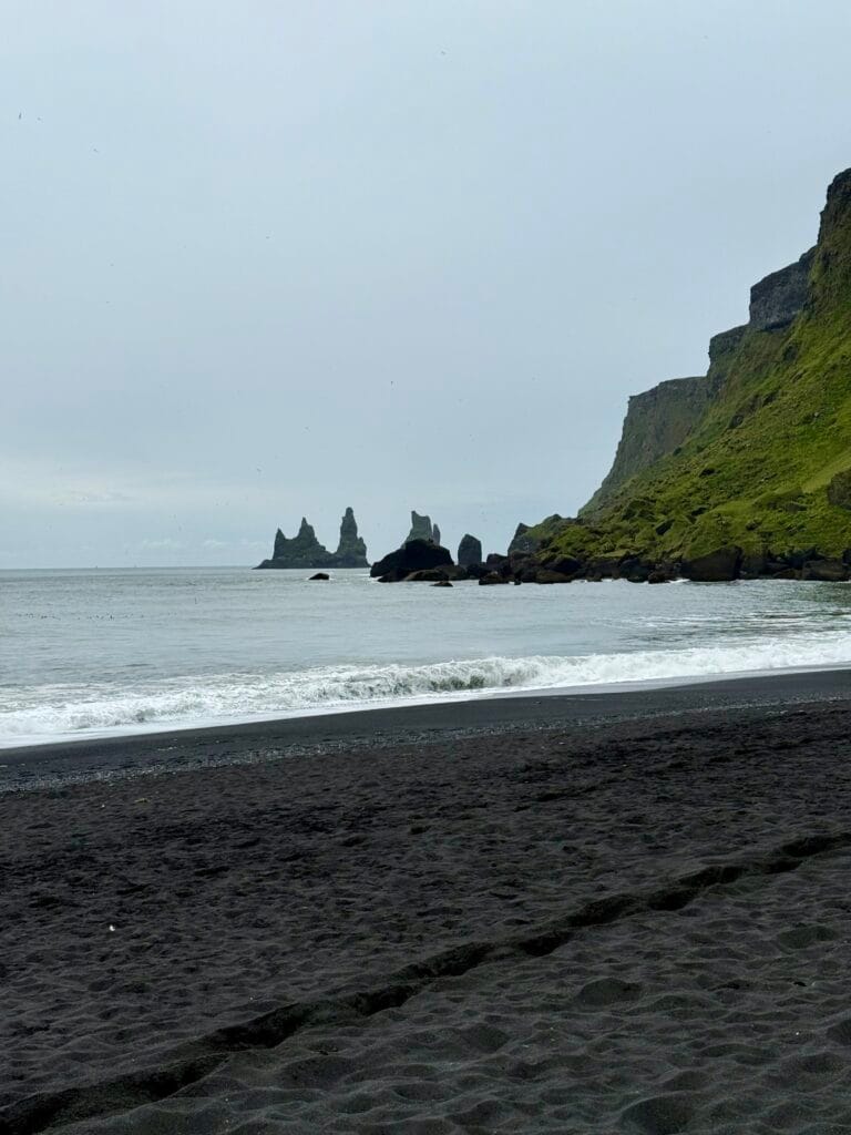 Icelandic beauty - waterfalls, geysers, black sand beaches, and lupin