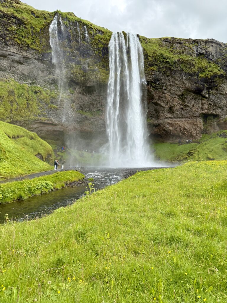 Icelandic beauty - waterfalls, geysers, black sand beaches, and lupin